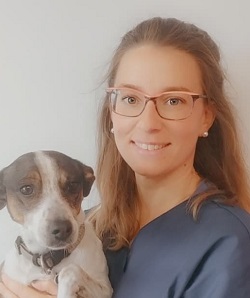 Dr Moreau clinique veterinaire des Terres d Opale Saint Martin Boulogne