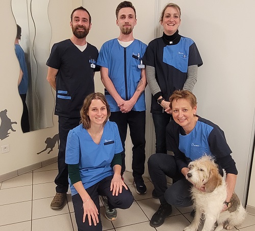 equipe clinique veterinaire Republique Roanne
