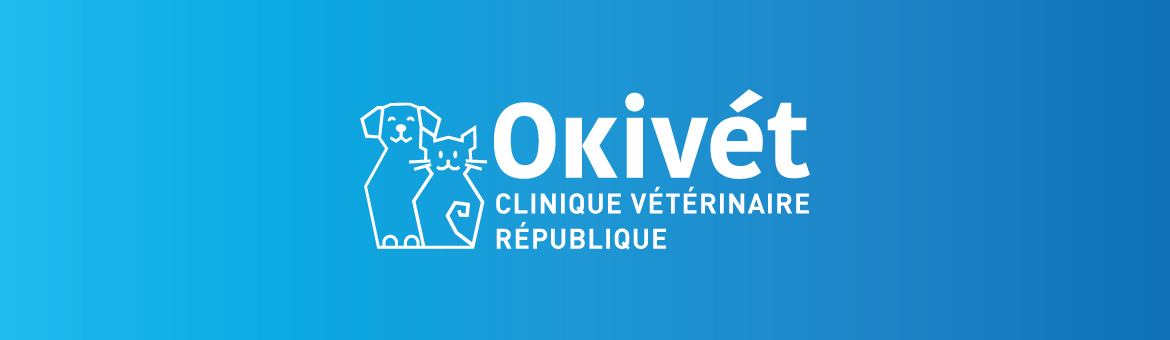 Bienvenue à la clinique vétérinaire République Bienvenue à la clinique vétérinaire République