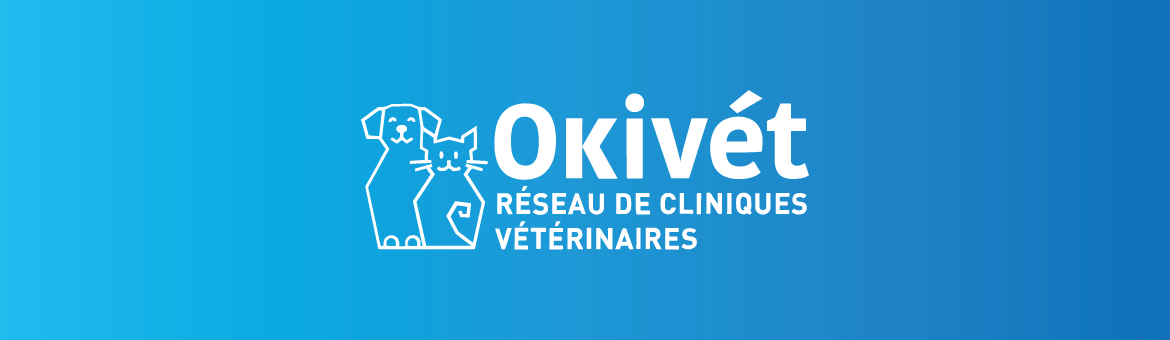 Hypersalivation Pourquoi Mon Chat Bave Beaucoup Okivet