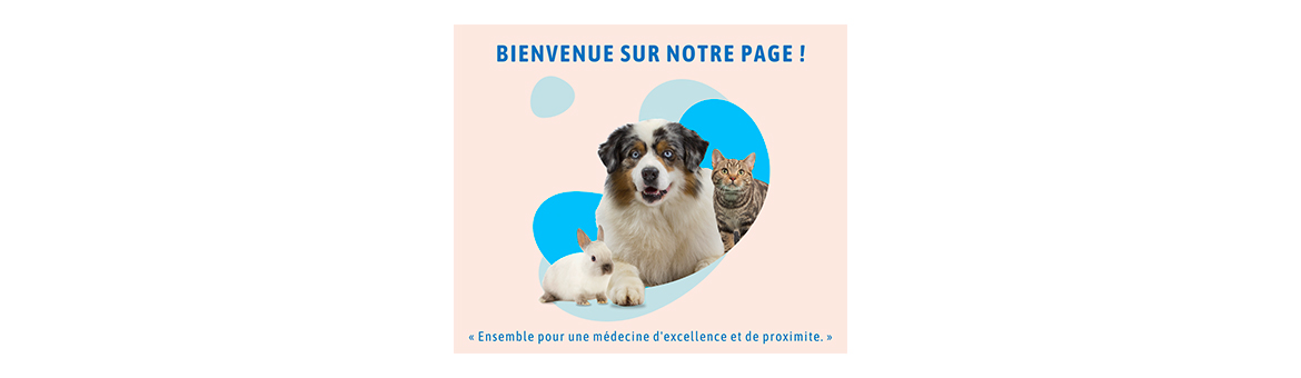 Que s'est-il passé en octobre sur Facebook ? Que s'est-il passé en octobre sur Facebook ?