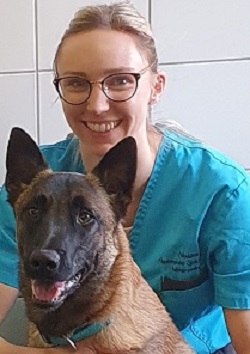 equipe clinique veterinaire de La Voulte sur Rhône