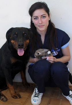 équipe de la clinique vétérinaire du Chêne Saint Cere