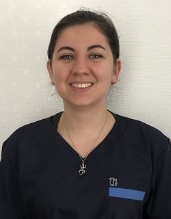 equipe clinique veterinaire Reims Cathedrale