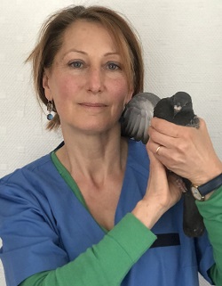 equipe clinique veterinaire Reims Cathedrale