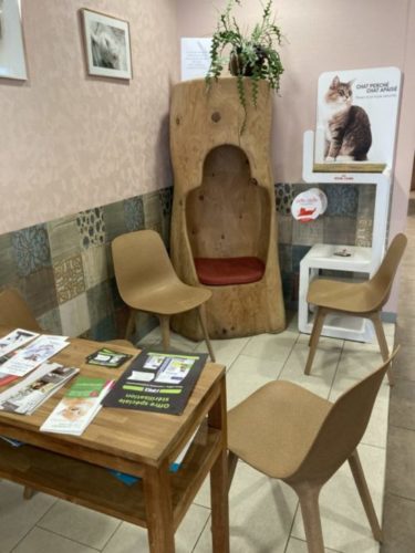 espace cat friendly clinique vétérinaire Reims Cathédrale