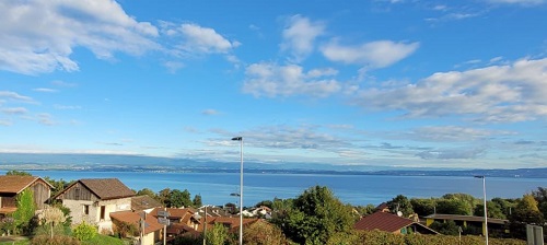 paysage Lac Léman clinique vétérinaire Gentianes Publier