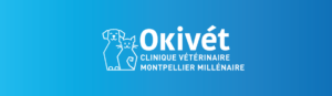 Bienvenue à la clinique Montpellier Millénaire !