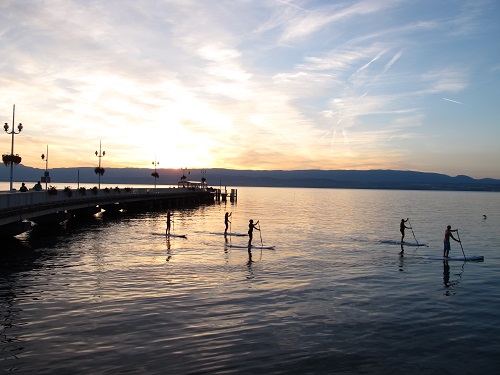 lac léman clinique vétérinaire Marmottes Thonon-les-Bains