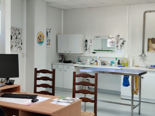 clinique vétérinaire Bruyères Saint-Priest-de-Gimel