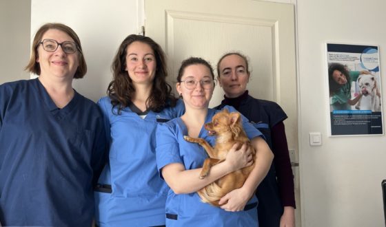 Equipe veterinaire Bressols