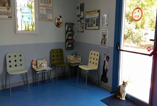 cabinet veterinaire source du lez prades le lez