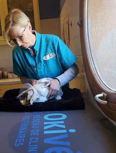 clinique veterinaire les oliviers simiane collongue