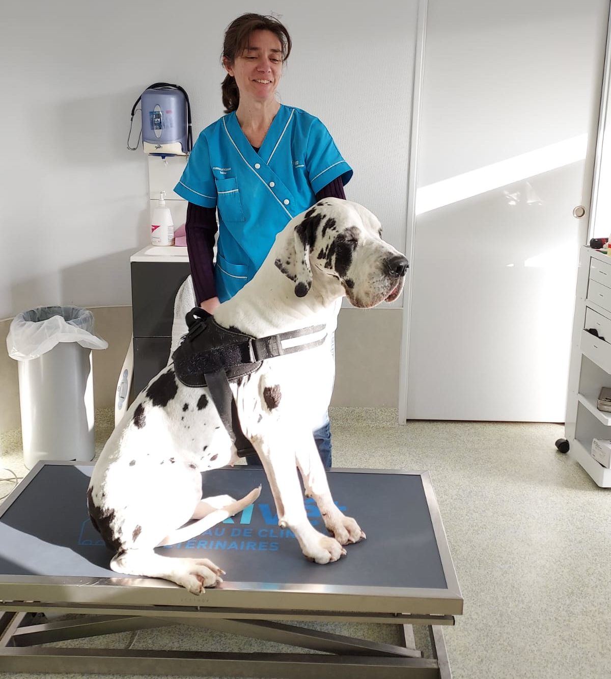 Docteur Moquet vétérinaire à la clinique VallDor