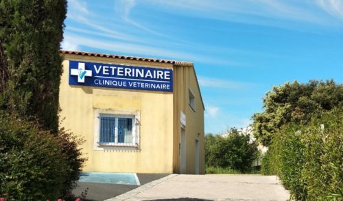 clinique vétérinaire Tour de Lauzard Saint-Gély-du-Fesc