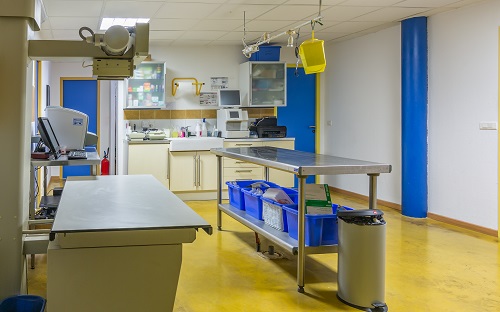 salle de soin clinique vétérinaire Tour de Lauzard Saint-Gély-du-Fesc