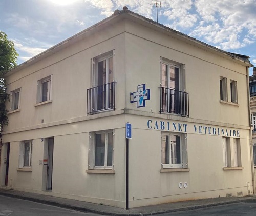 cabinet vétérinaire Saint-Etienne Chalons-en-Champagne