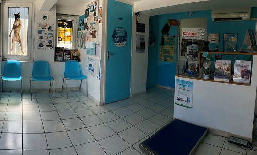 accueil cabinet veterinaire la couronne carro martigues