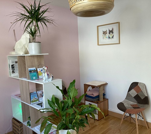 cabinet veterinaire Saint Etienne chalons en champagne