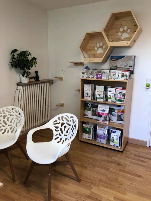 cabinet veterinaire saint etienne chalons en champagne