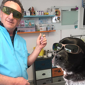 laser thérapeutique cabinet veterinaire la couronne