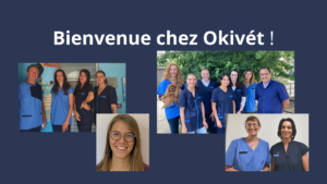 Nouvelles cliniques vétériinaires au sein du réseau Okivét