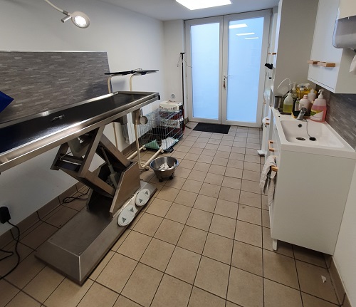 consultation veterinaire renaison
