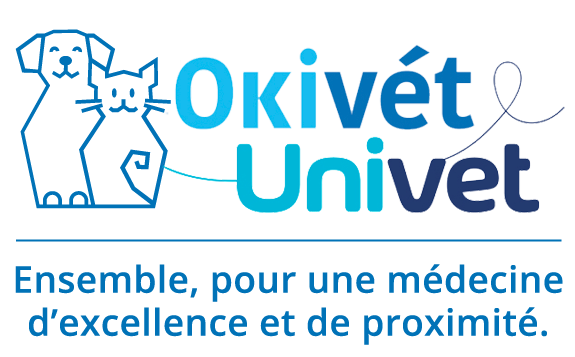 Okivét, Réseau de cliniques vétérinaires
